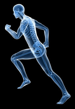 running gait analysis Physical Solutions
