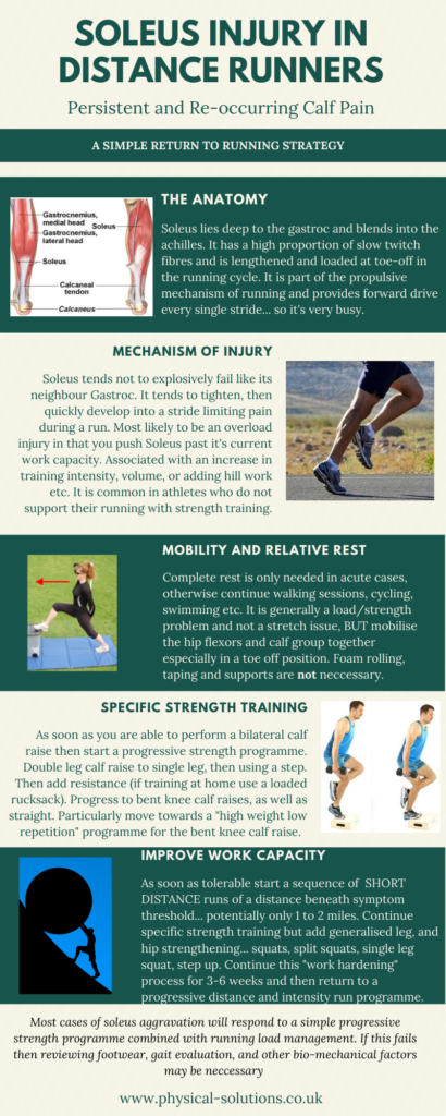 Soleus Injuryphysical solutions blog soleus injury - Physical ...